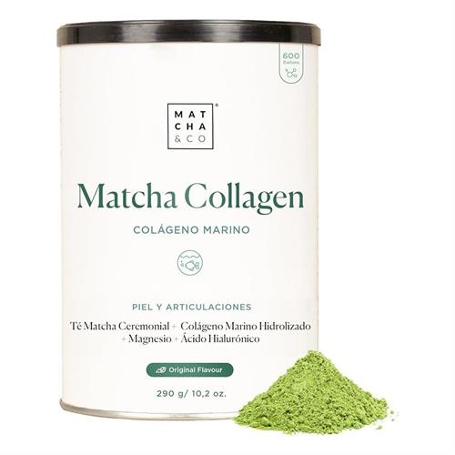 Vital Proteins Suplemento en polvo de péptidos de colágeno Matcha,  L-teanina y cafeína, té verde matcha, 12 onzas, sabor original