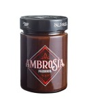 Crema Cacao Avellana Ambrosia Paleobull 300g