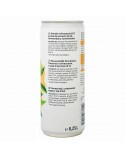 Kombucha Original Bio lata 250ml