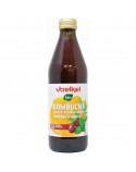 Kombucha Cereza y Menta Bio 330ml