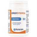 ErgySterol Nutergia 100 cápsulas