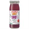 Shot de Jengibre y Frutos del Bosque Voelkel Bio 95 ml