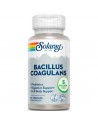 Bacillus Coagulans Solaray 60 VegCaps